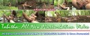 Tabitha in Shoot #3 - Masturbation ( Uncensored ) video from ALSANGELS