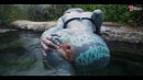 Outdoor Public ANAL Fucking. Gape, Blowjob, Tattooed Teen Facial (goth, Alt, Punk) ZF031