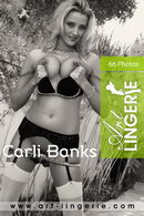 Carli Banks in  gallery from ART-LINGERIE