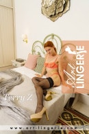 Terry Z gallery from ART-LINGERIE
