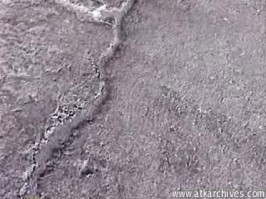 Trisha Uptown  from ATKARCHIVES