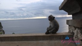 Victoria Rae Black  from ATKGIRLFRIENDS