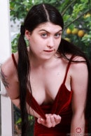 Daydream Daisy in Amateur gallery from ATKPETITES by GB Photography
