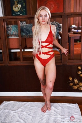 Sage Rabbit  from ATKPREMIUM