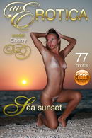 Cherry in Sea Sunset gallery from AVEROTICA ARCHIVES by Anton Volkov