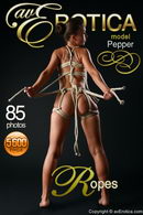 Pepper in Ropes gallery from AVEROTICA ARCHIVES by Anton Volkov