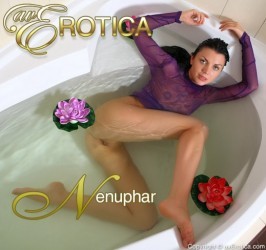 Macy  from AVEROTICA ARCHIVES