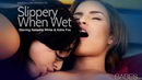 Aidra Fox & Natasha White in Slippery When Wet gallery from BABES