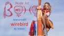 Marianna M in Wirebird video from BOHONUDE by Antares