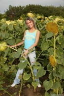 Sandy masturbating in a sunflower field