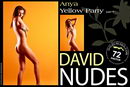 Anya in Yellow Party part 7 gallery from DAVID-NUDES by David Weisenbarger