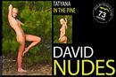 Tatyana in In The Pine gallery from DAVID-NUDES by David Weisenbarger