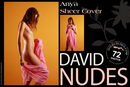 Anya in Sheer Cover gallery from DAVID-NUDES by David Weisenbarger