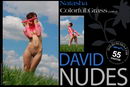 Natasha in Colorful Grass part 2 gallery from DAVID-NUDES by David Weisenbarger