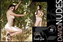 Vitalia in Forest Glow gallery from DAVID-NUDES by David Weisenbarger