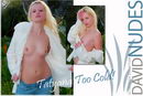 Tatyana in Too Cold! gallery from DAVID-NUDES by David Weisenbarger