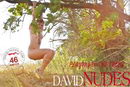 Eva in Playing in the Trees gallery from DAVID-NUDES by David Weisenbarger