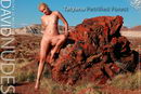 Tatyana in Petrified Forest gallery from DAVID-NUDES by David Weisenbarger