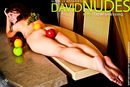 Kara in Table Dressing gallery from DAVID-NUDES by David Weisenbarger