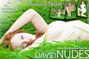 Elena in Shy Meadow - Pack #4 gallery from DAVID-NUDES by David Weisenbarger
