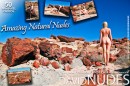 Petrified Forest - Pack #5