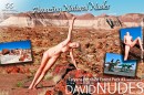 Tatyana in Petrified Forest - Pack #3 gallery from DAVID-NUDES by David Weisenbarger