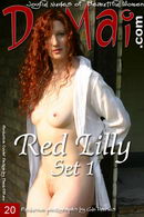 Red Lilly in Set 1 gallery from DOMAI by Glyn Davies