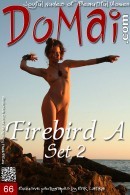 Firebird A in Set 2 gallery from DOMAI by Erik Latika