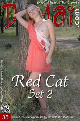 Red Cat  from DOMAI