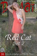 Red Cat in Set 2 gallery from DOMAI by Stanislav Borovec