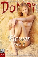 Flower in Set 1 gallery from DOMAI by Stanislav Borovec