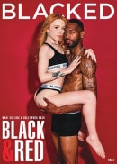 Madi Collins & Maitland Ward & Little Dragon & Holly Molly in Black And Red Vol.3 video from DORCELVISION