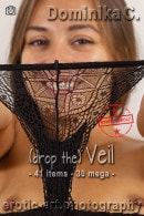 Dominika C in (drop the) Veil gallery from EROTIC-ART by JayGee