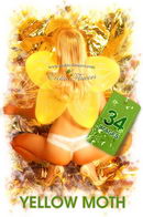 Christina in Yellow Moth gallery from EROTIC-FLOWERS