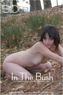 Fay A in In The Bush gallery from EROTICBEAUTY by Dave Preston