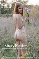 Maryanna in Grassy Meadow gallery from EROTICBEAUTY by Stanislav Borovec
