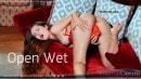Open Wet