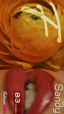 Sandy  from FEDOROVHD