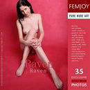 Raven gallery from FEMJOY by Anton Volkov