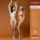 Nicolette & Kinga in Girls And A Ladder gallery from FEMJOY by Stefan Soell