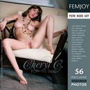 Cheryl C in Play The Game gallery from FEMJOY by Palmer