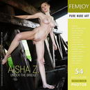 Aisha Z in Under The Bridge gallery from FEMJOY by Palmer