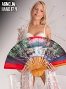 Hand Fan