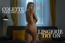 Colette in Lingerie Try On video from FERR-ART by Andy Ferr
