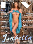 Isabella in Goddess Of Hawaii III gallery from FTVGIRLS