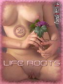 Life Roots