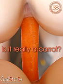 Is It Really A Carrot?