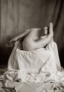 Andgy in Armchair gallery from GALLERY-CARRE by Didier Carre