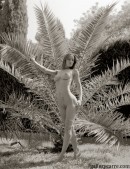 Janine May in Palm Tree gallery from GALLERY-CARRE by Didier Carre