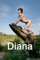 Diana In The Forest gallery from GALLERY-CARRE by Didier Carre